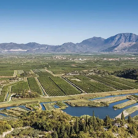 Amazing In With Wifi *